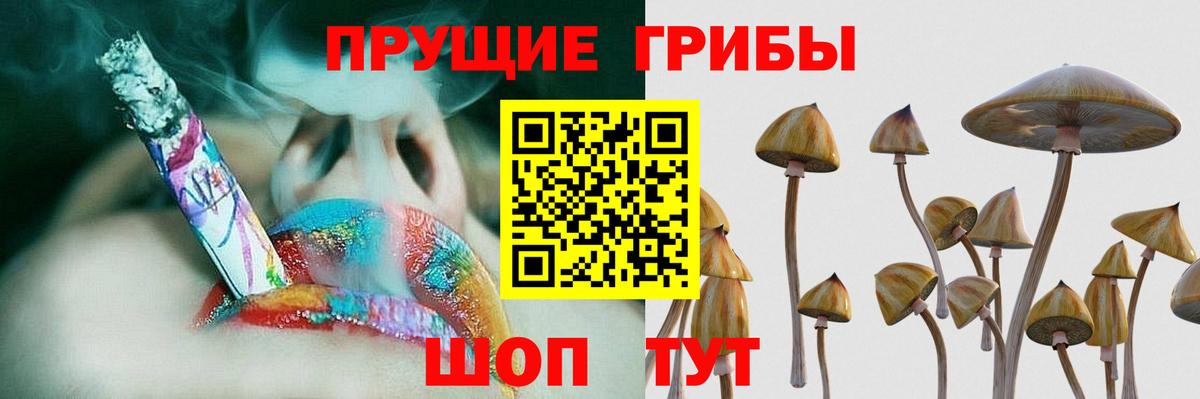 Псилоцибиновые грибы ЛСД  Вход с VPN  Крымск 